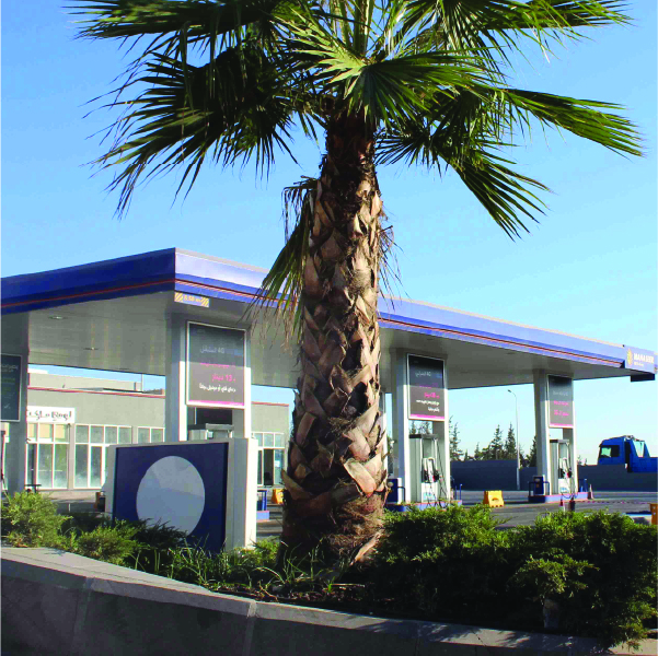 Marka II Downtown Station